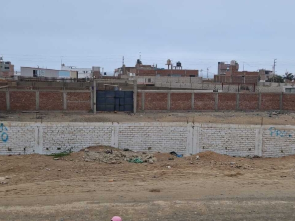 462190524 1060766962717546 6201888636062544621 n