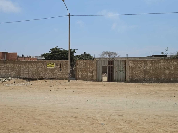 WhatsApp Image 2024 10 07 at 11.27.15 AM